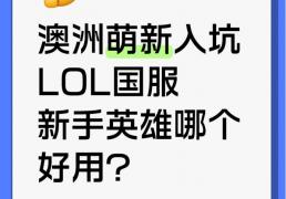澳洲萌新(xīn)入坑lol国服，新(xīn)手英雄哪个好用？