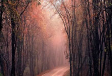 厦门足球，重返(fǎn)職(zhí)业聯(lián)赛！