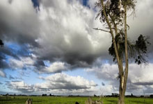 虎牙直(zhí)播收罚单，林(lín)松涛節(jié)衣缩食