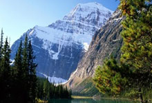 虎牙直(zhí)播收罚单，林(lín)松涛節(jié)衣缩食