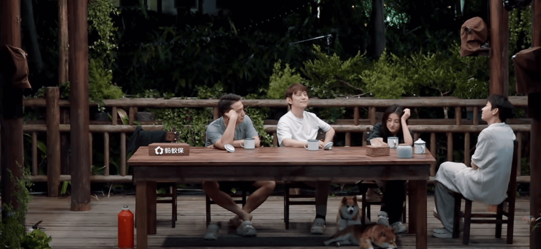 《向往的生(shēng)活8》摆烂了(le)，挺(tǐng)好