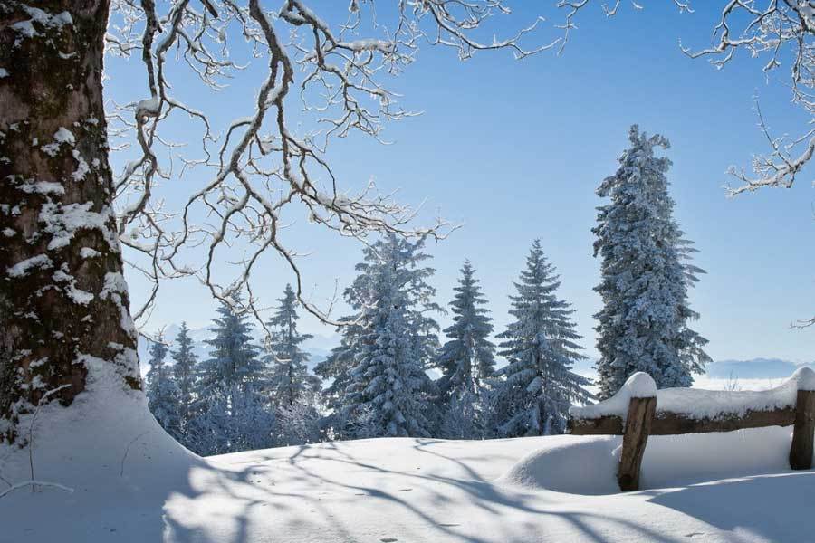 中國(guó)电竞战队EDG夺得全球(qiú)总决赛冠军